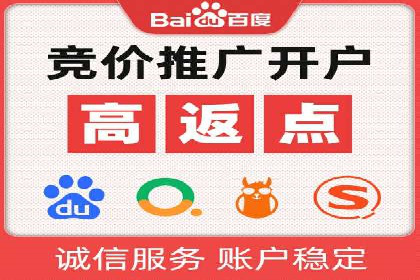 竞价推广策略：某电商平台的成功案例
